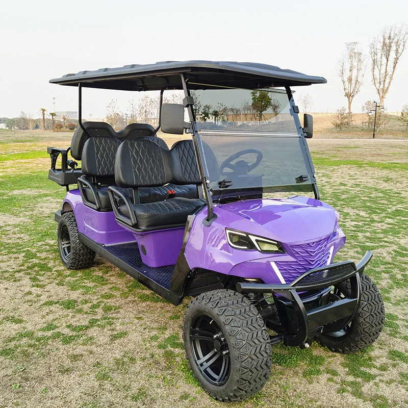 Wintao Golf Carts Battery Luxury Icon Electric Golf Cart Electric 6 Seater for Tours
