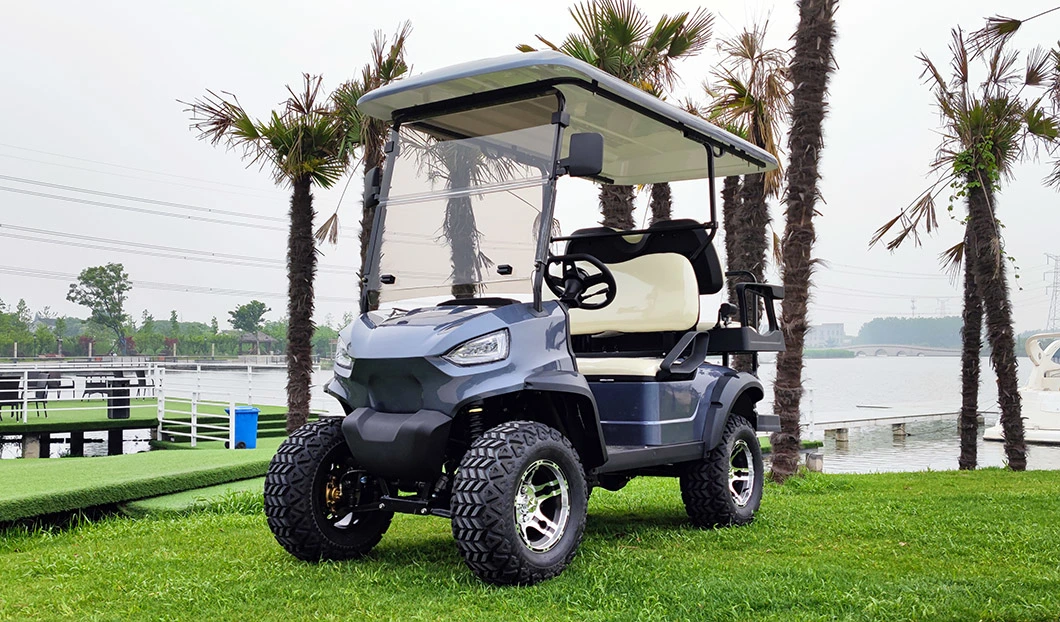 Dune Utility Vehicle Buggy 4 Person Electric New Golf Carts