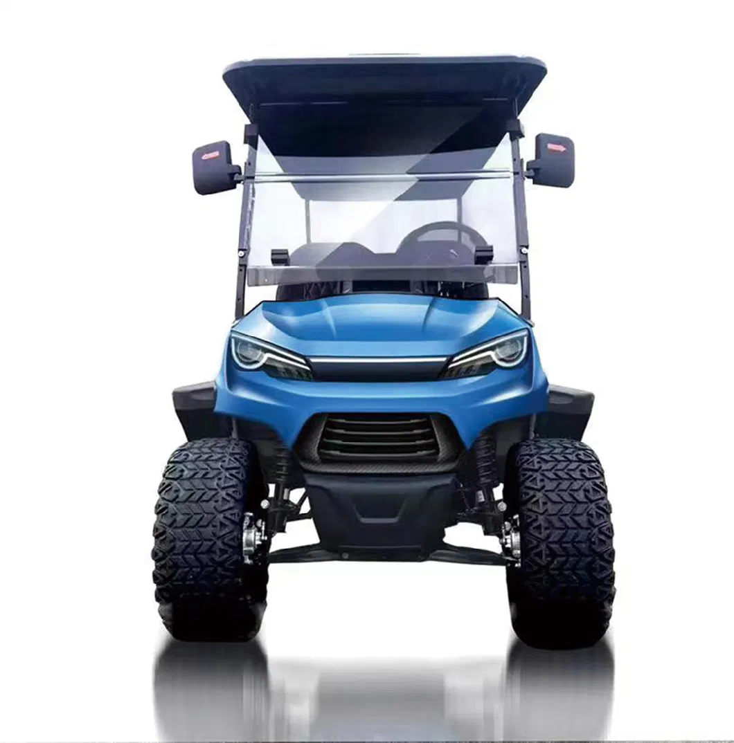 Good Service 3units/Crate OEM Brand 20units/40hq China Shanghai Dachi Car Electric Golf Cart