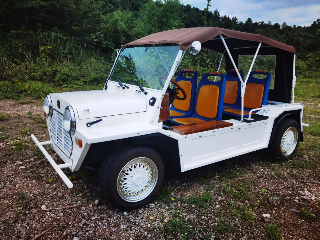 Sightseeing Car Moke Golf Vehicle (72V)