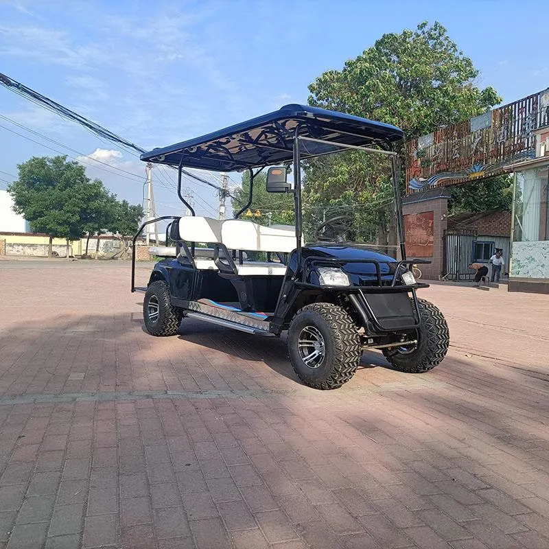 4 Person 8 Person Electric Adult Golf Cart USA Hot Sale Factory Direct Sales