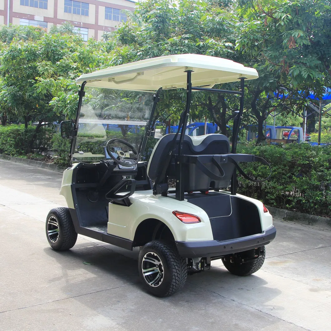 2 Seater Battery Operated Lead Acid or Lithium Powered Golf Cart Sightseeing Bus