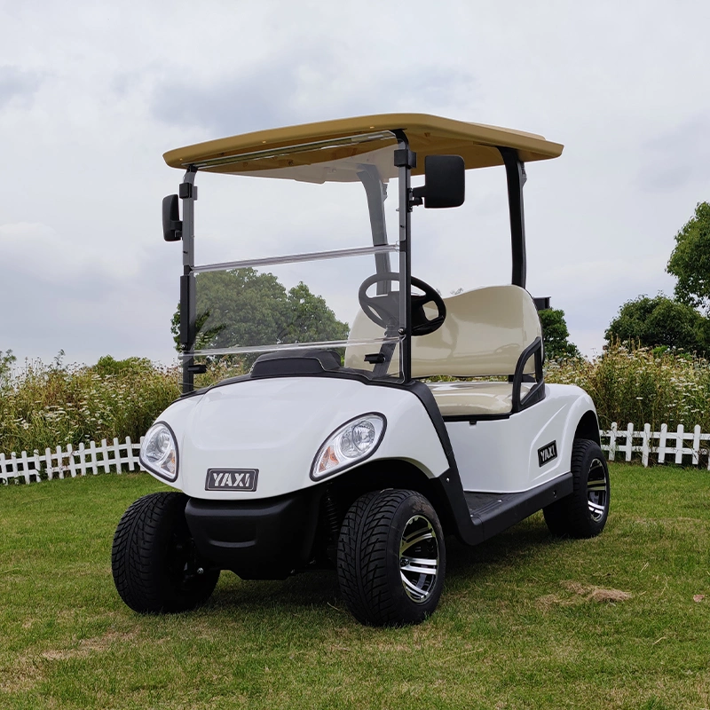 Cheap New Model 2 Seater Golf Cart Lsv Ptv