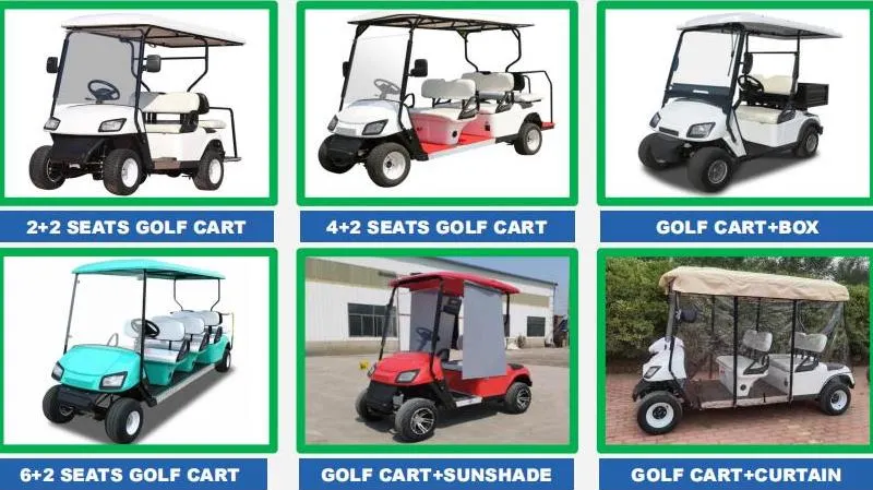 Graceful Design Energy 2 Seats Hunting Golf Carts for Sale