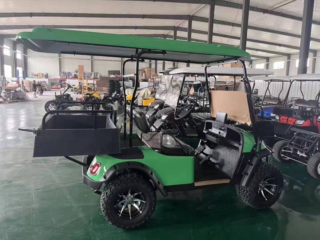 Utility Personal 2 Seats Street Legal Golf Cart with Low Price Golf Buggy Golf Club