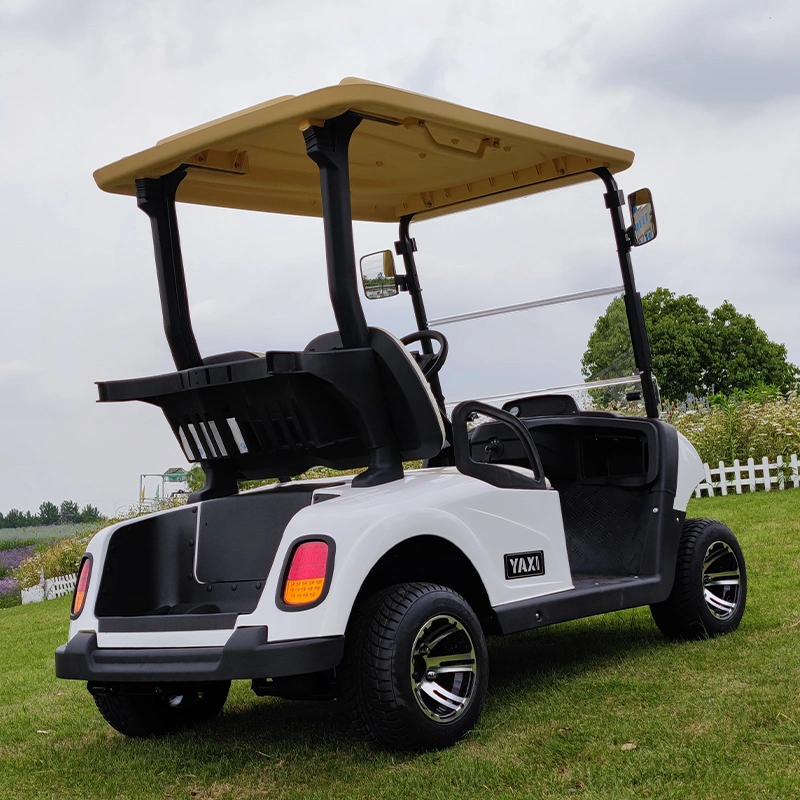 Cheap New Model 2 Seater Golf Cart Lsv Ptv