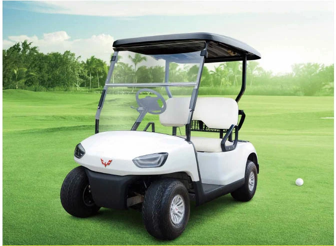 Wuling 2 4 Seats China Factory Custom Club Car Battery Operated Golf Carts Electric Golf Buggy