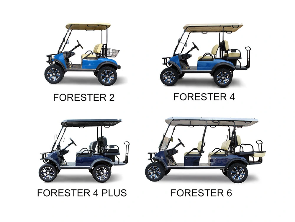 CE Approved 4 Seater Golf Buggy 14 Inch Wheel Lifted Electric Cart for Sale