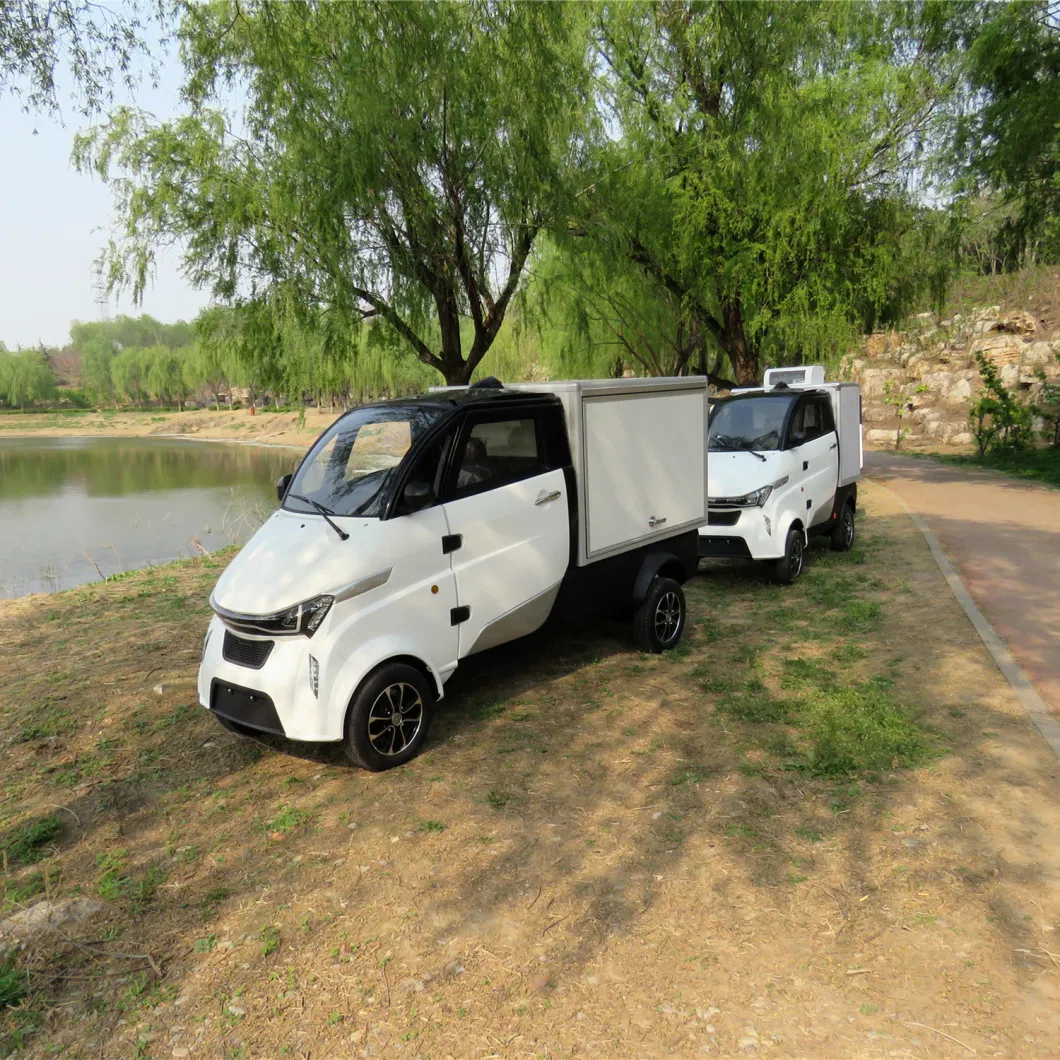 2020 New Utility Mini Pickup Electric Cargo Truck for Europe