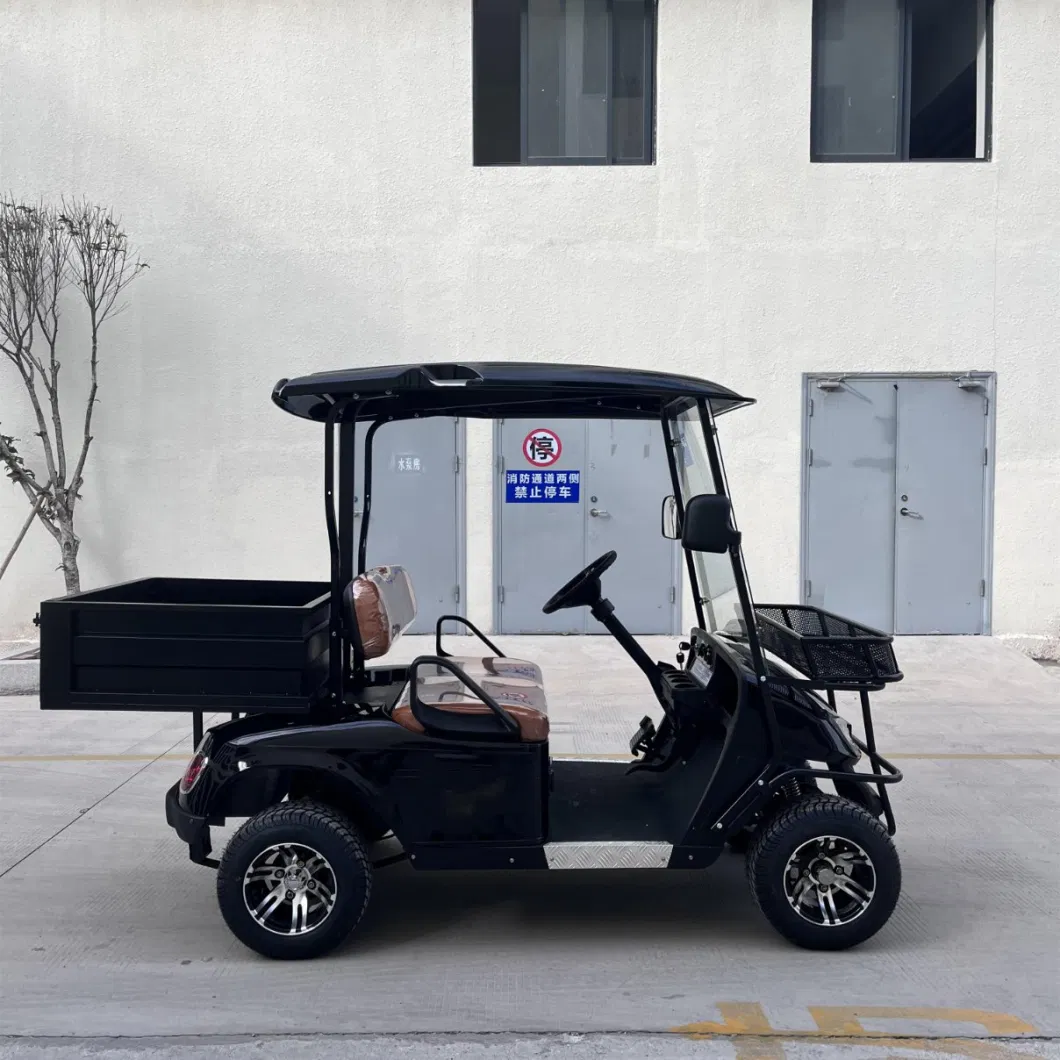 2024 Brand New China Popular 2 Seaters Electric Club Car Golf Cart Utility Golf Carts