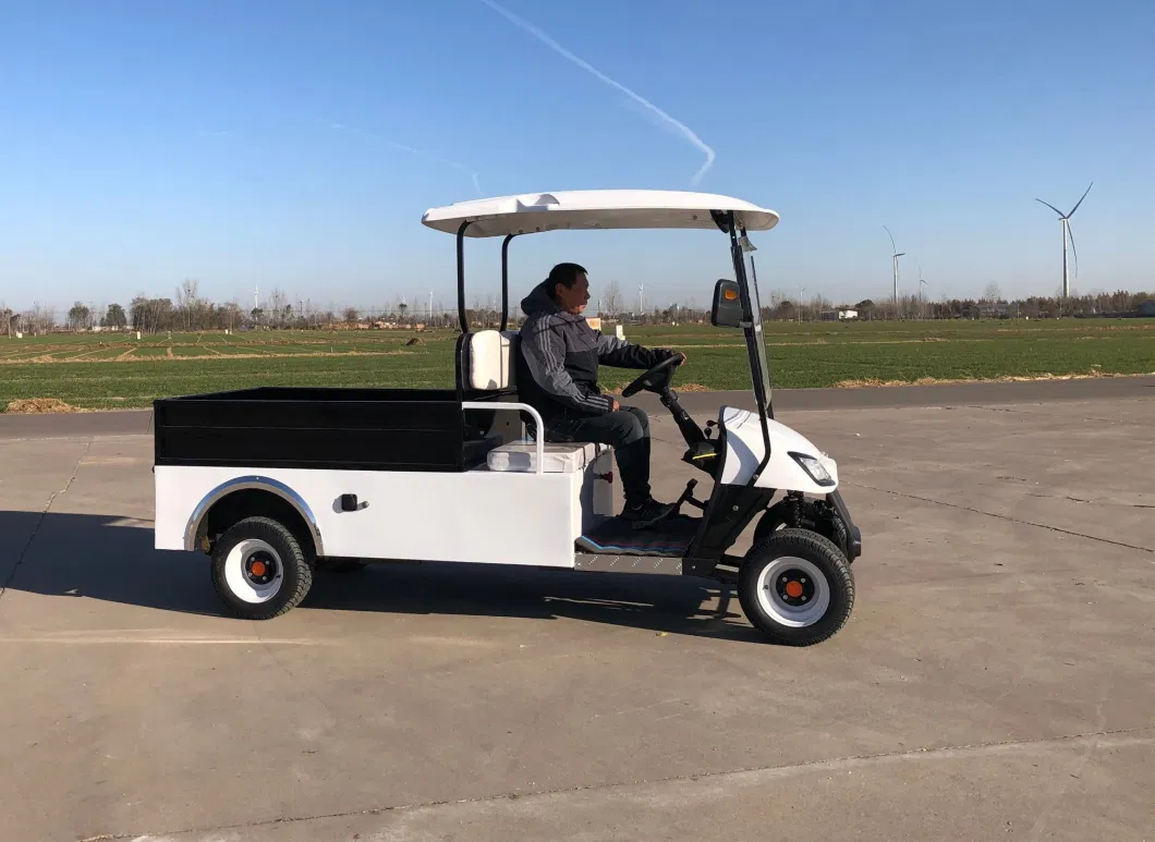 2 Seats Utility Golf Carts/ Utility Vehicle with Rear Cargo Box/ Golf Cart with Cargo Bed