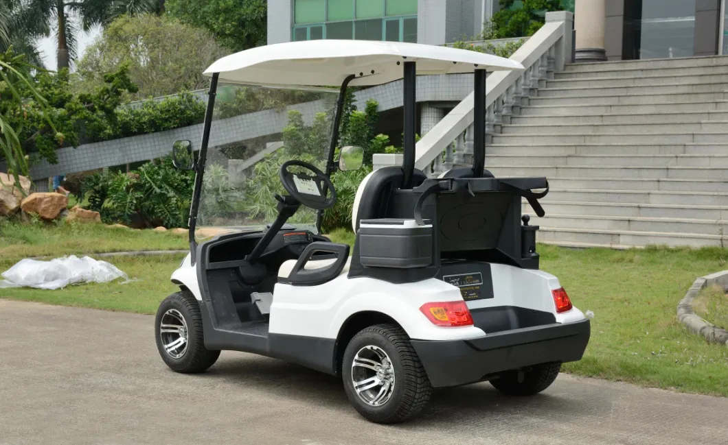 2 Seater High Quality Battery Operated Golf Course Blue Red White Golf Car