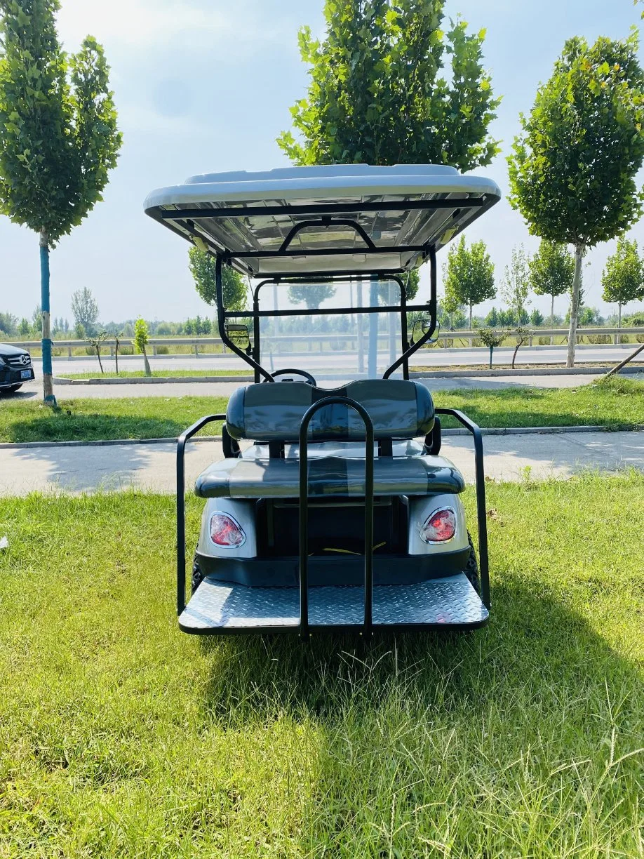 Personal 2 Seats Street Legal Golf Cart with Low Price