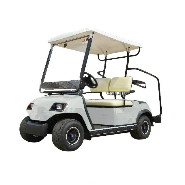 48V Battery Voltage and 2 Seats Hunting Electric 4X4 Golf Cart
