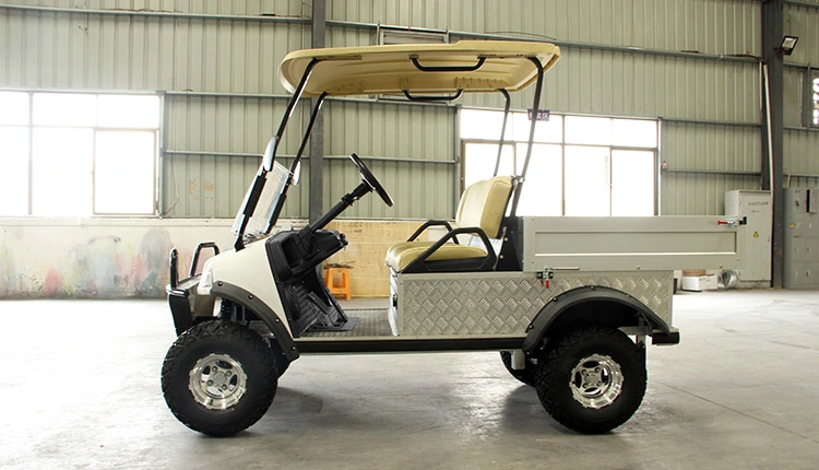 2-Seater Golf Electric Utility Vehicle with Cargo Box Mini Truck