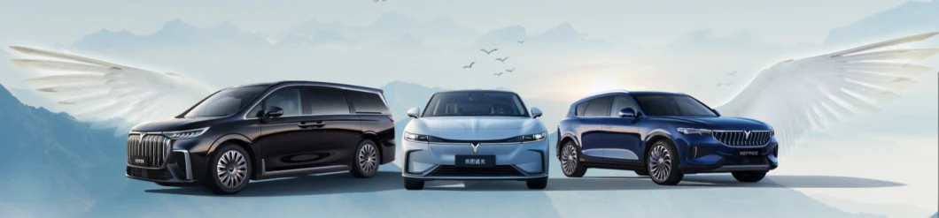 2023 Dongfeng Voyah High Speed New Energy 605km Electric Vehicle Lantu Dreamer