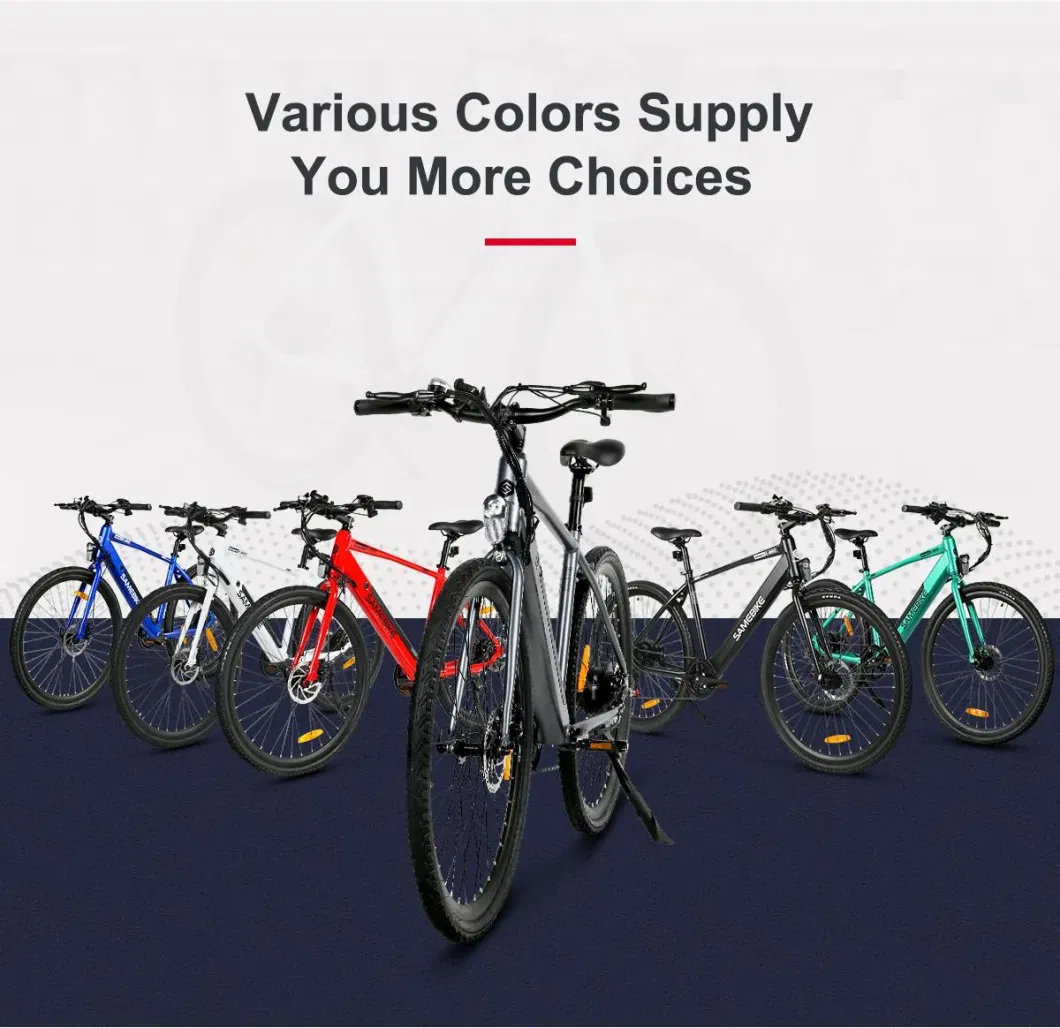 Electric Bike Ebike Electric Mountain Bicycle MTB Electric Dirt Bikefor Hot Sale