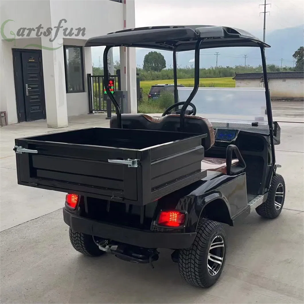 2 Seats Utility Golf Carts Street Legal Golf Electric Cart with Cargo Bed