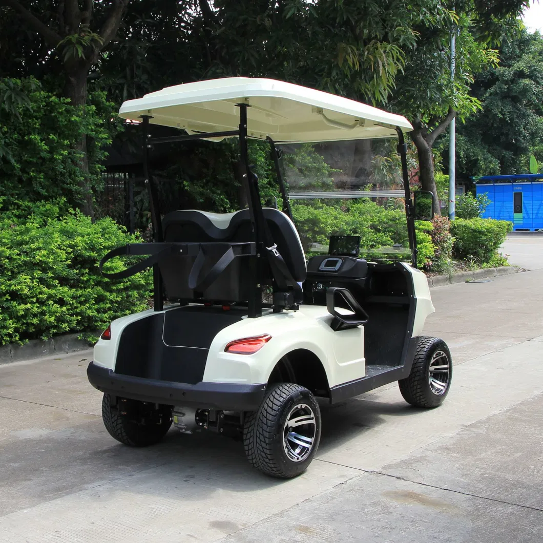 2 Seater Battery Operated Lead Acid or Lithium Powered Golf Cart Sightseeing Bus