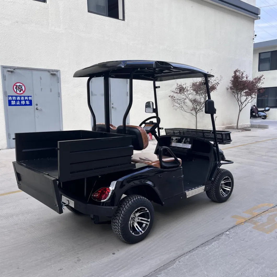 2 Seats Utility Vehicles with Cargo Bed Long Cargo Bed Electric Utility off Road Truck Golf Cart