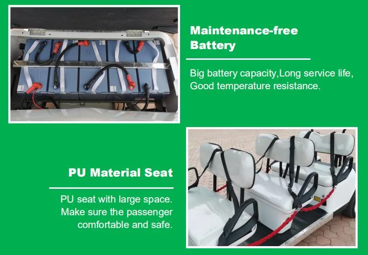 Graceful Design Energy 2 Seats Hunting Golf Carts for Sale