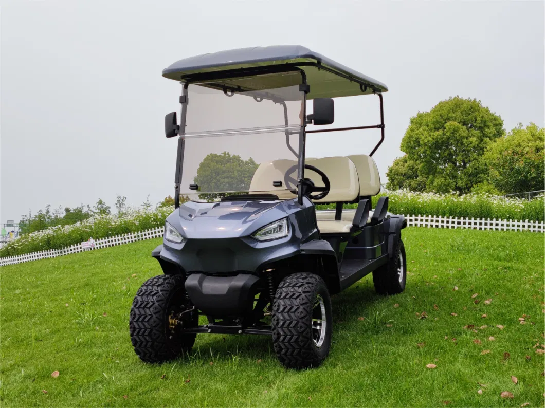 Wintao Custom Lithium Battery Electric Golf Cart Mini Golf Buggy