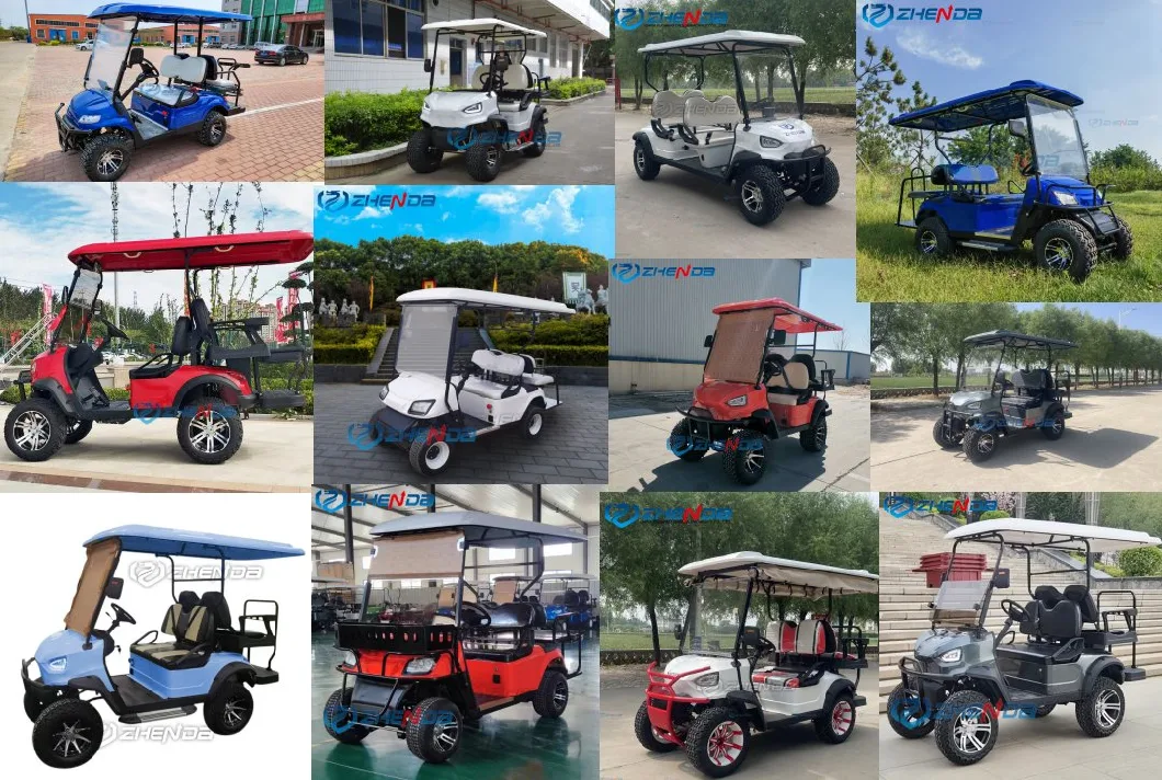 2023 New Model AC Motor 6 Seats Electric Hunting Buggy Golf Cart