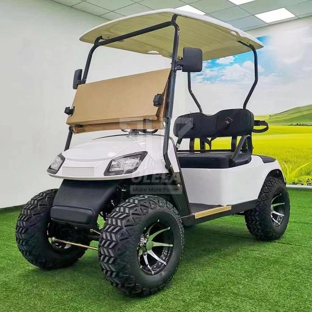 Ulela Aetric Golf Cart Manufacturer 20-30 Km/H Max Speed Golf Cart 12 Seat China 2 Seater EV Golf Cart