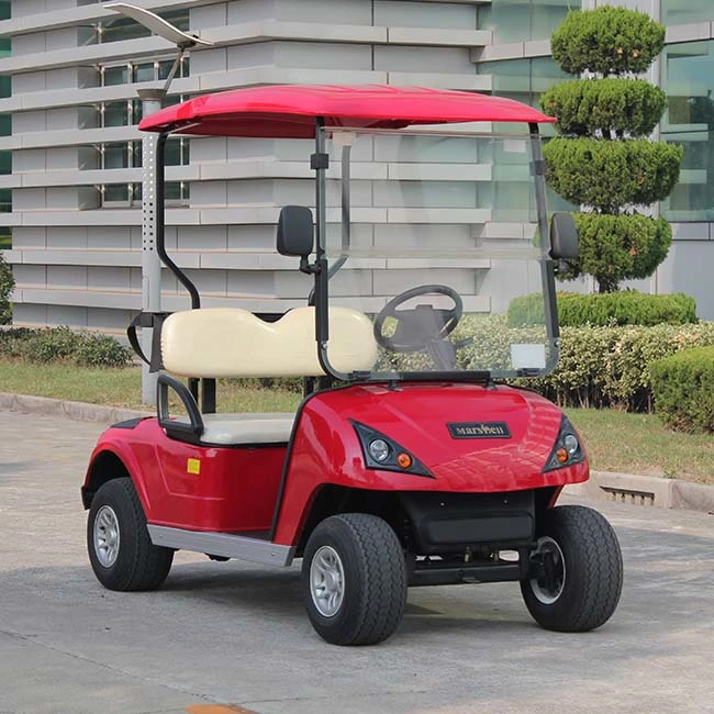 CE Approved OEM Service Provided Two Seats Electric Golf Cart (DG-C2-5)