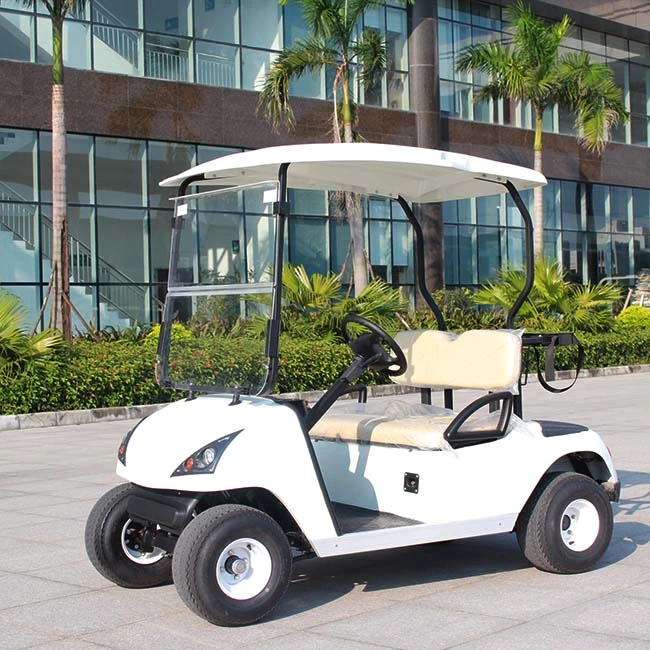 CE Approved OEM Service Provided Two Seats Electric Golf Cart (DG-C2-5)