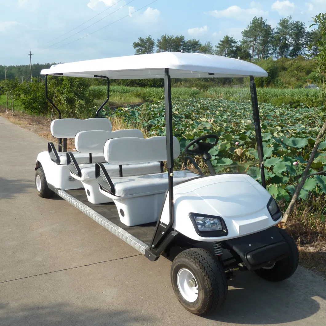Custom Label Vehicle Electric Golf Cart CE Zhejiang 48V Prices Electric Golf Cart