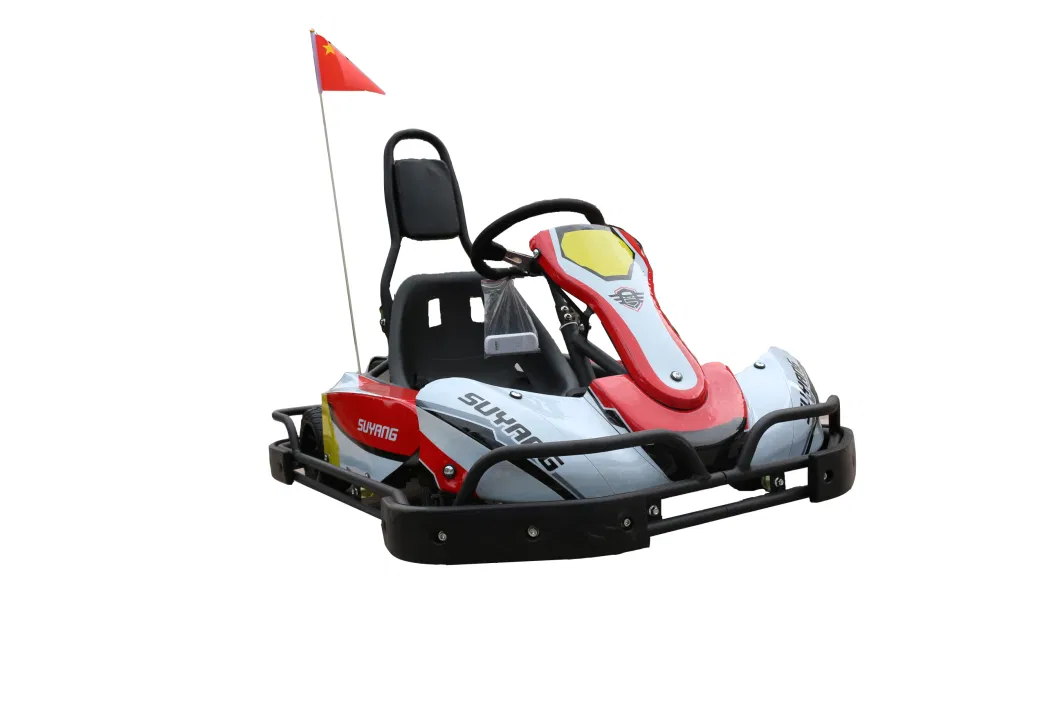 Factory Direct Sales Fast Electric Go Kart 2000W Racing Mini Kart