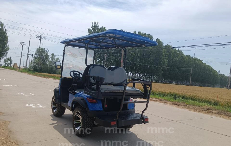 Street Legal Golf Club Car Sightseeing Bus Mini Electric Golf Car Electric 2 4 Seats Golf Carts for Us