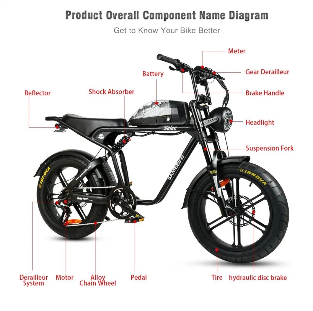 2023 New Wholesale 1000W 48V 16ah Full Suspension Fat Tire off Road Electric Bike Adult Electric Dirtbike