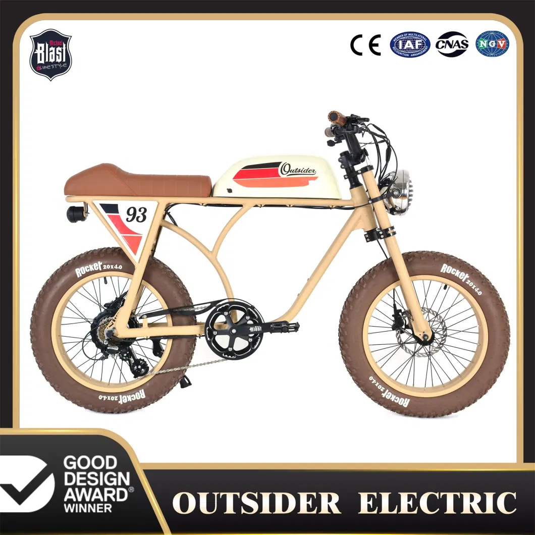 off Road Electric Bike for Fashion Icon City Road Ebike Retro Bike Man 750W Bicycle with Suspension Front Fork