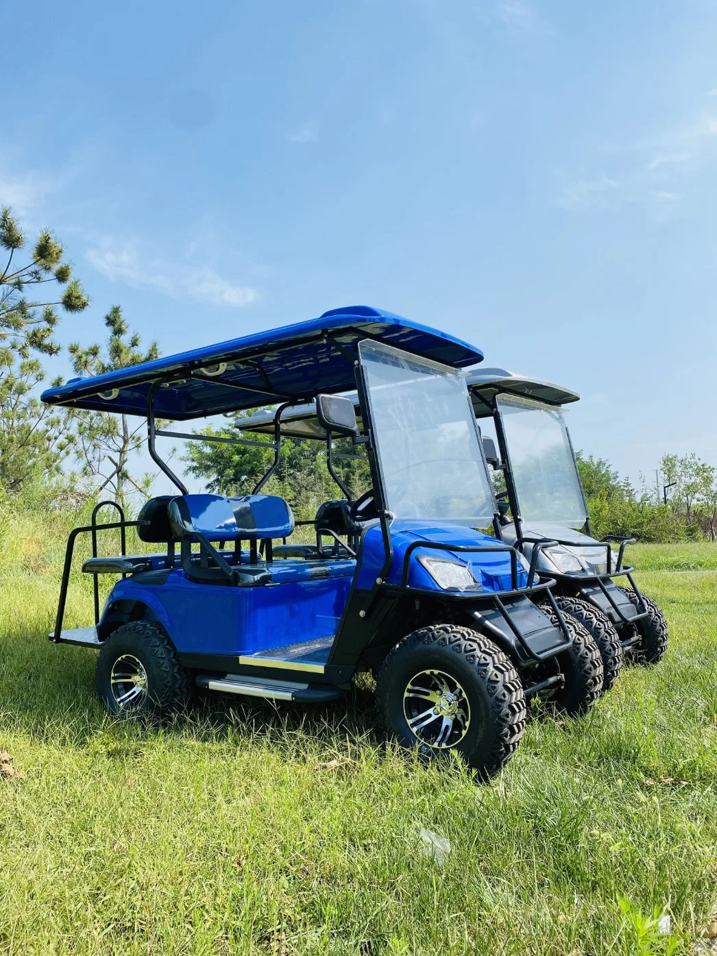 Fancy CE Customized 2 Seater Golf Electric Cart Cool off-Road Golf Cart