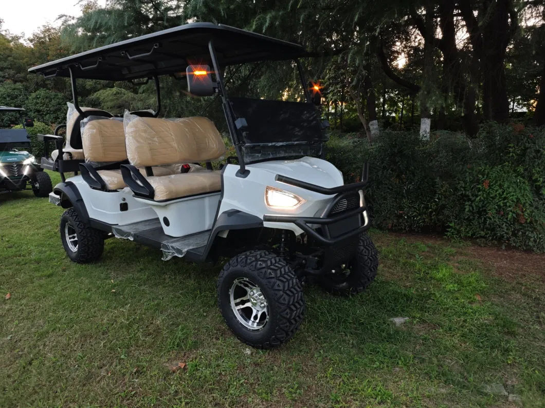 Wintao New 6 Seater Electric 4 Wheel Club Car Golf Cart
