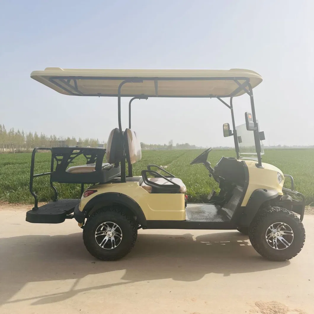 Electric Power Sightseeing Bus Western Style 2 Seat Golf Cart