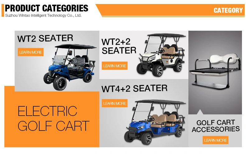 Wintao Golf Carts Battery Luxury Icon Electric Golf Cart Electric 6 Seater for Tours