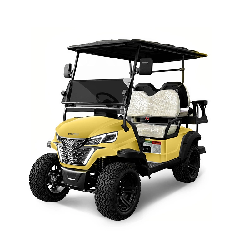 2+2 Electric Golf Cart, Aluminum Alloy Wheels Large Mutilple Color Options