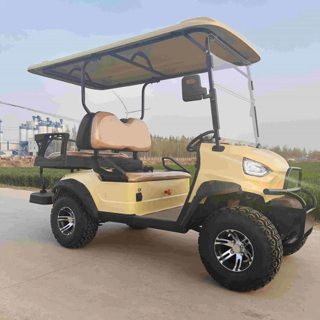 Electric Power Sightseeing Bus Western Style 2 Seat Golf Cart