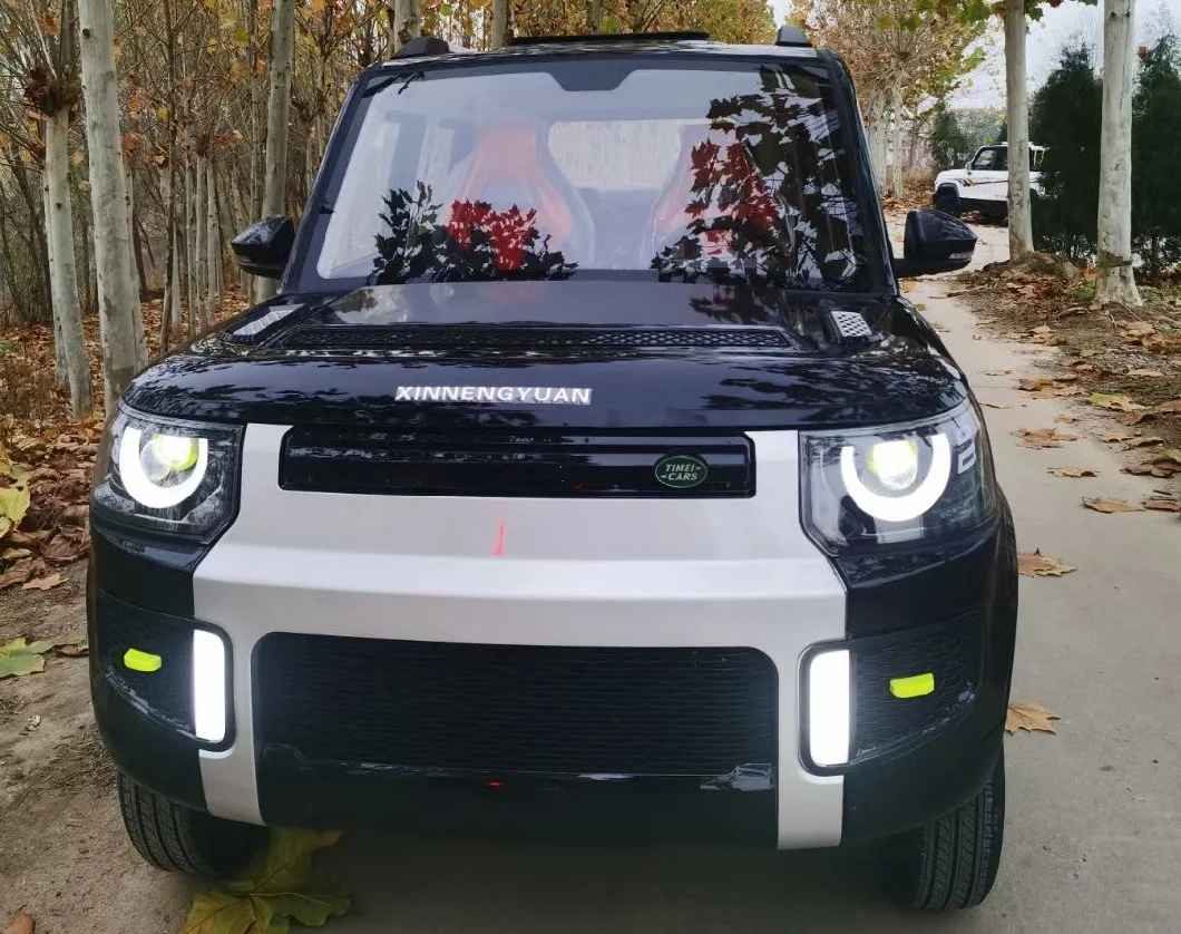Range Rover 2023 High Quality 4-Wheel Adult Electric Car for New Energy Car