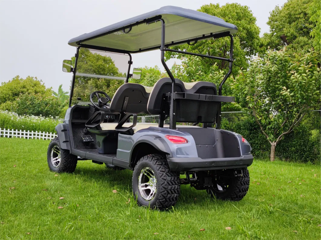 Wintao Custom Lithium Battery Electric Golf Cart Mini Golf Buggy