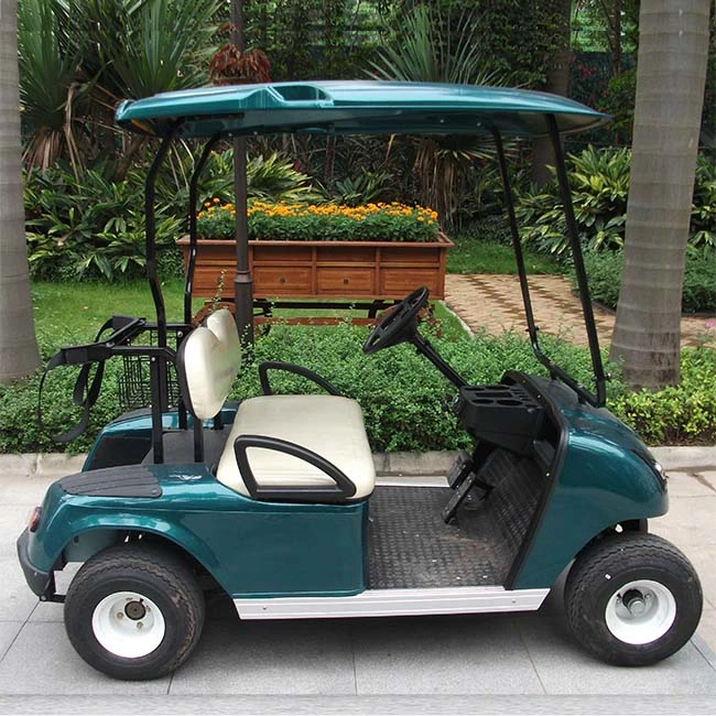 CE Approved OEM Service Provided Two Seats Electric Golf Cart (DG-C2-5)