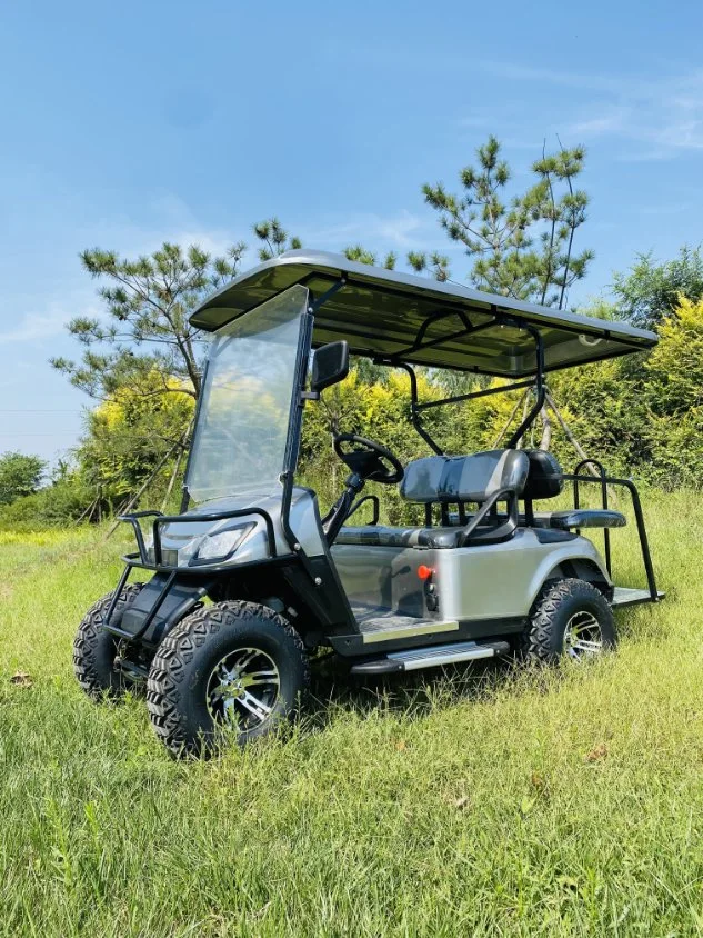 Personal 2 Seats Street Legal Golf Cart with Low Price