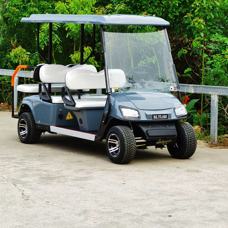 Legal Driving Golf Buggy Battery Operated Golf Cart Very Low Price High Quality New Energy Golf Buggy 6 Seats Electric Golf Cart