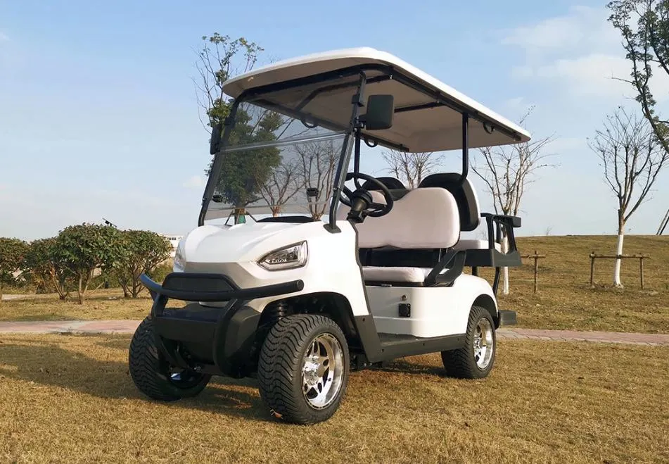 New Model 4 Seater Golf Cart with Large Storage Compartments