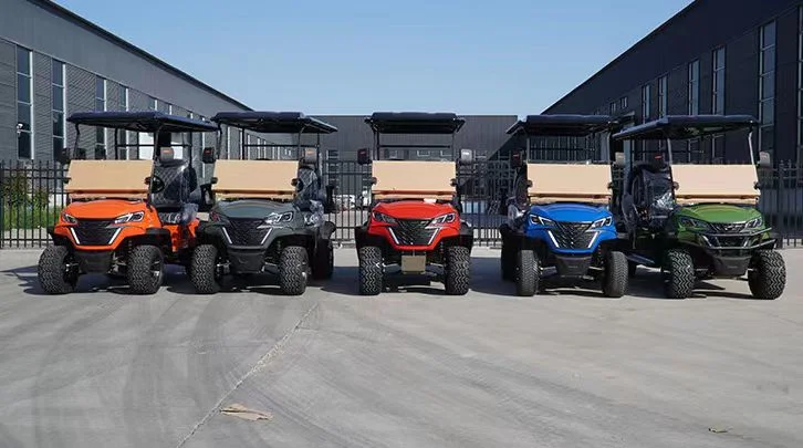 Customized Hunting Wholesaler Best Brand Cheap Electric Golf Carts 2 Seats Golf Cart Golf Buggy