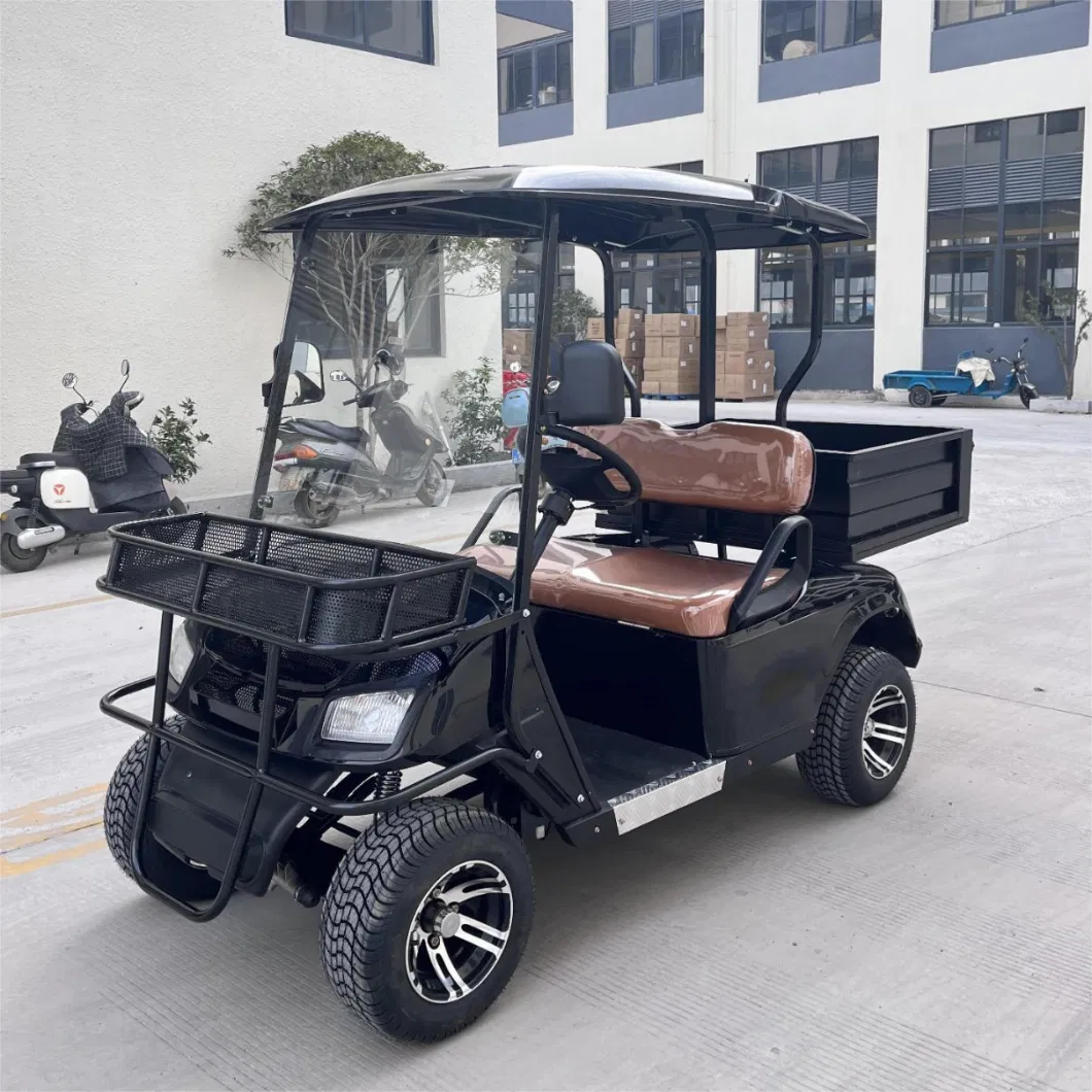 2 Seats Utility Golf Carts Street Legal Golf Electric Cart with Cargo Bed