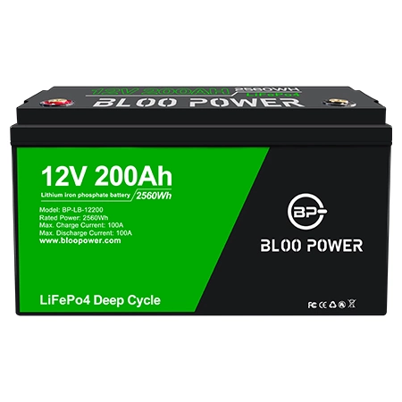 Bloopower Customized Storage 100 Ah with BMS Phosphate Energy for RV Marine Golf Cart Cart Yacht Camper Yacht Lithium Battery